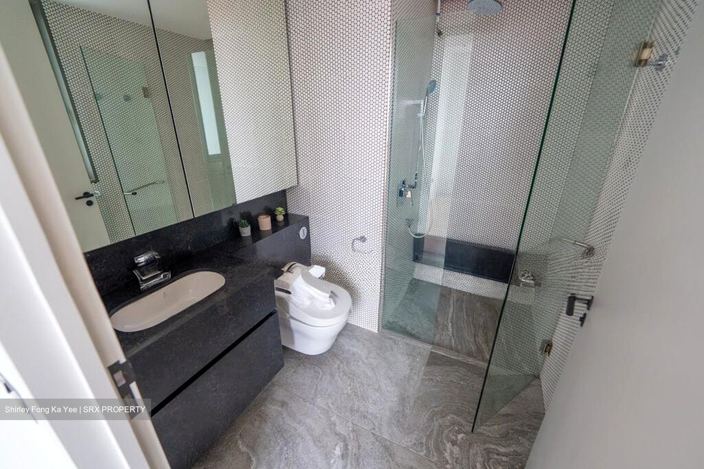 10 Evelyn (D11), Apartment #514382991